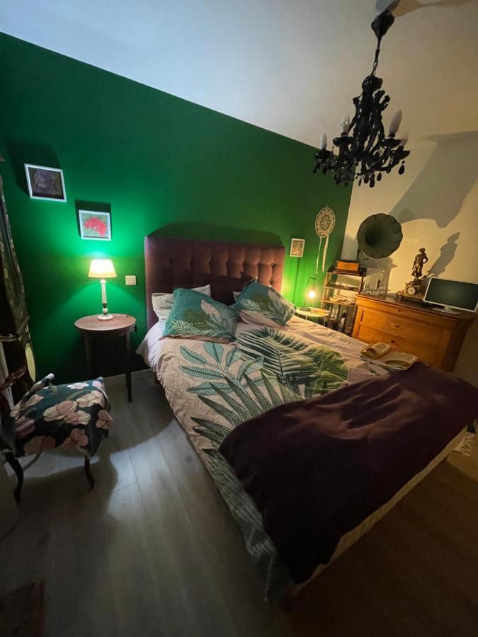 Apartament Duud Castanet-Tolosan Zewnętrze zdjęcie