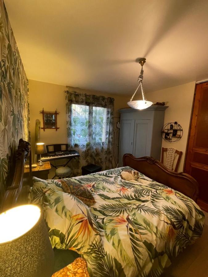 Apartament Duud Castanet-Tolosan Zewnętrze zdjęcie